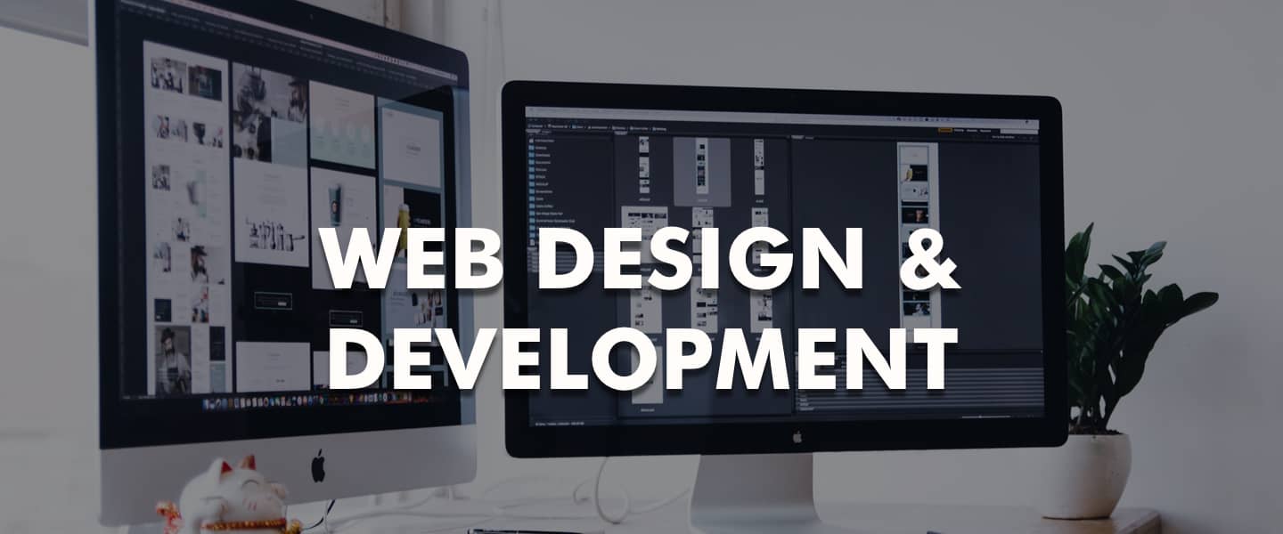 Web Design & Development